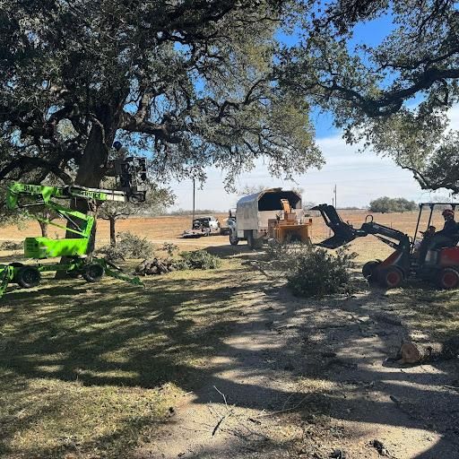 All Photos for Braun Tree Service  in Floresville, Texas