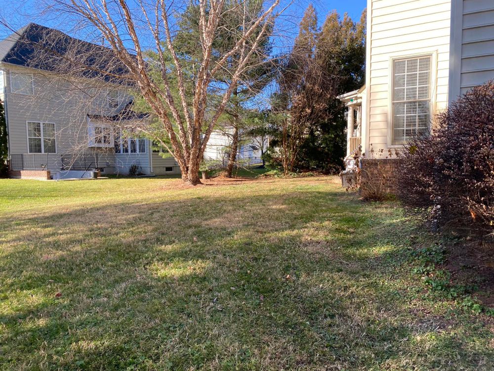 All Photos for Mountainside Property Services LLC in Warrenton, VA