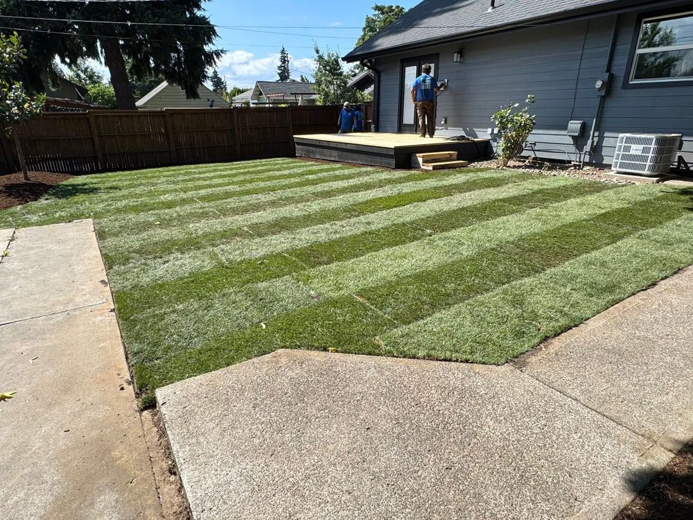 Enhance your lawn's health with our expert aeration service, promoting better water absorption, nutrient distribution, and root growth for a lush, resilient yard you can enjoy year-round. for Churape And Son's Landscaping in Vancouver, WA