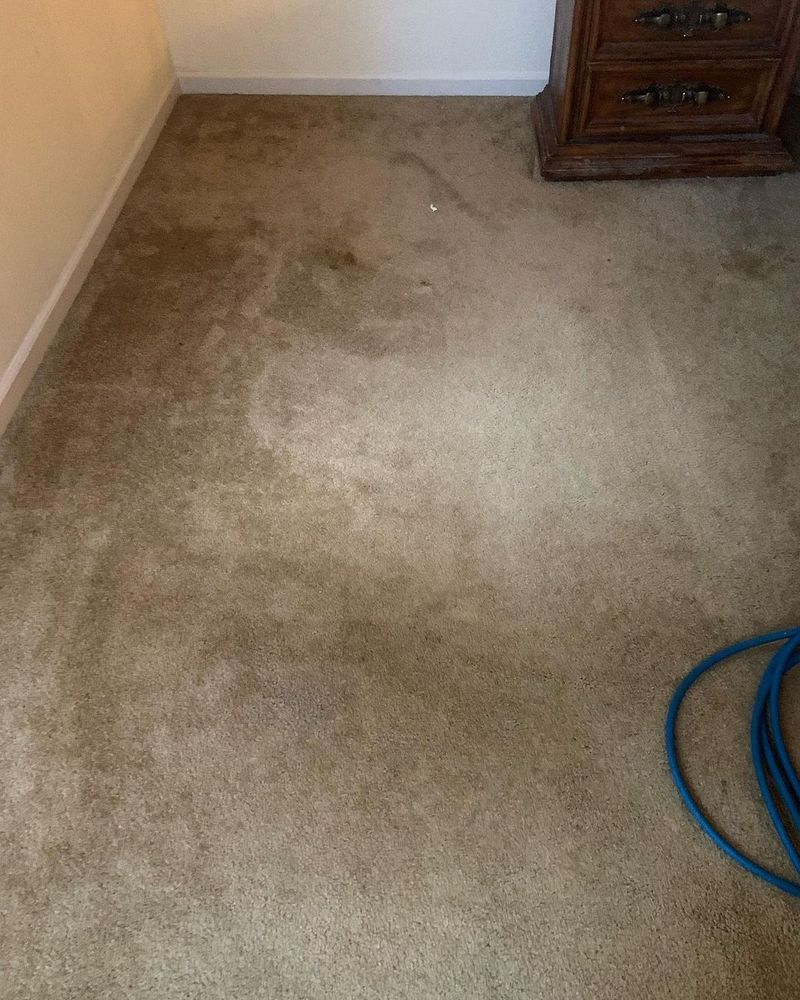 Carpet Cleaning for Randy’s Janitorial in Vallejo-Fairfield, CA