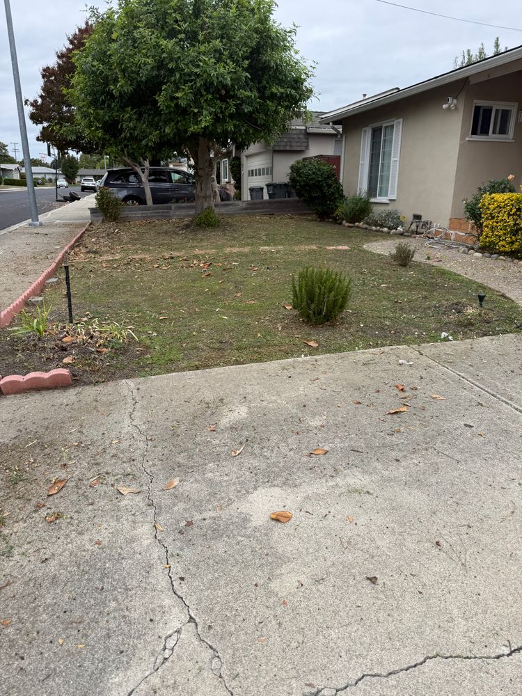 All Photos for CBA Landscaping in Hayward, CA