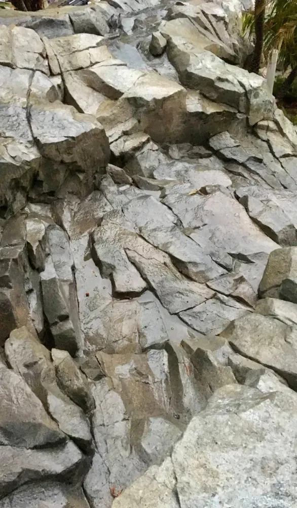 All Photos for Texas Curb N Borders in Houston, TX