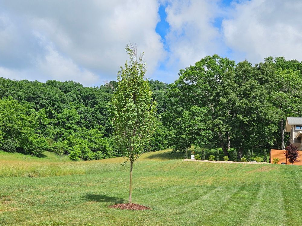 All Photos for Simply Natural Landscape in Abingdon, VA