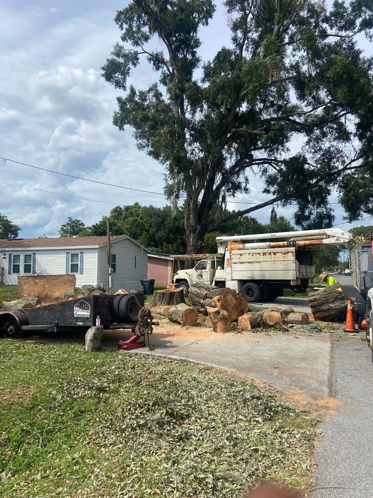 Fall and Spring Clean Up for Efficient and Reliable Tree Service in Lake Wales, FL