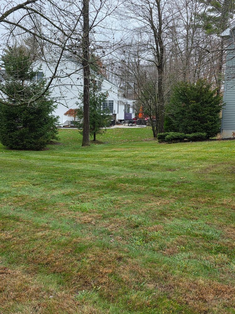 All Photos for Sweet Scapes in Ballston Spa, NY