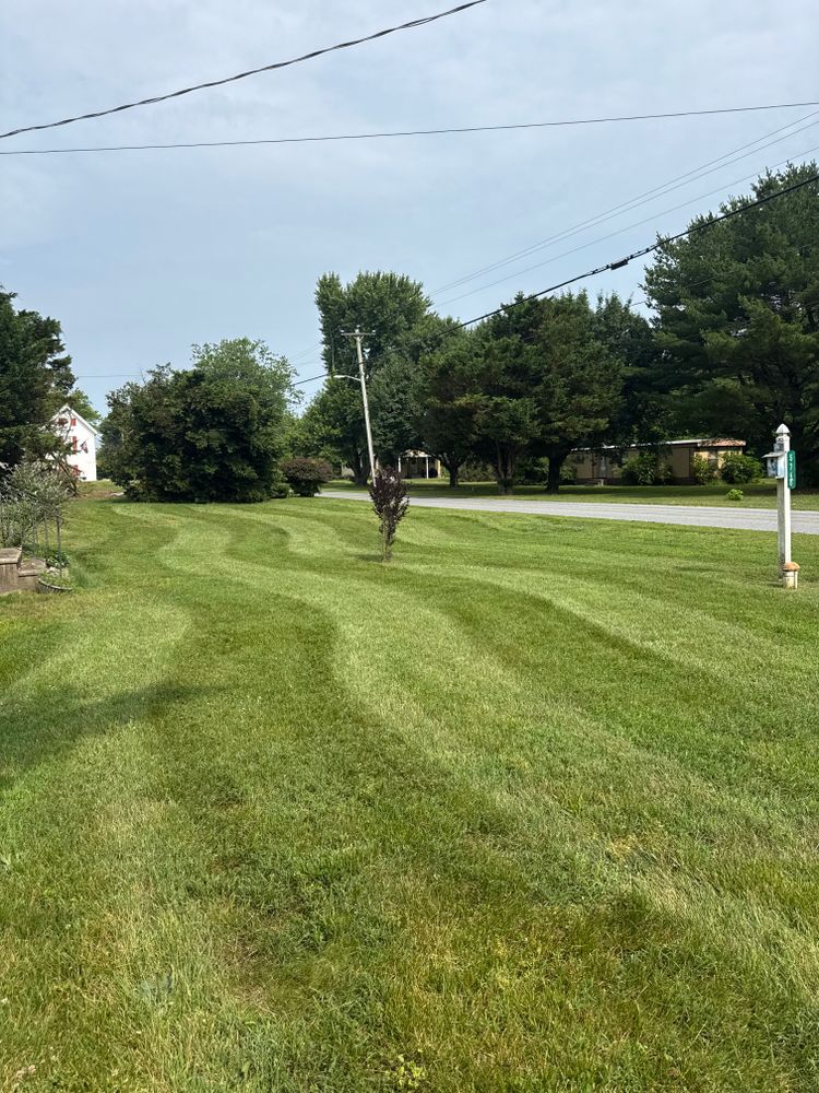 All Photos for Bew’s Lawn Care in Girdletree, MD