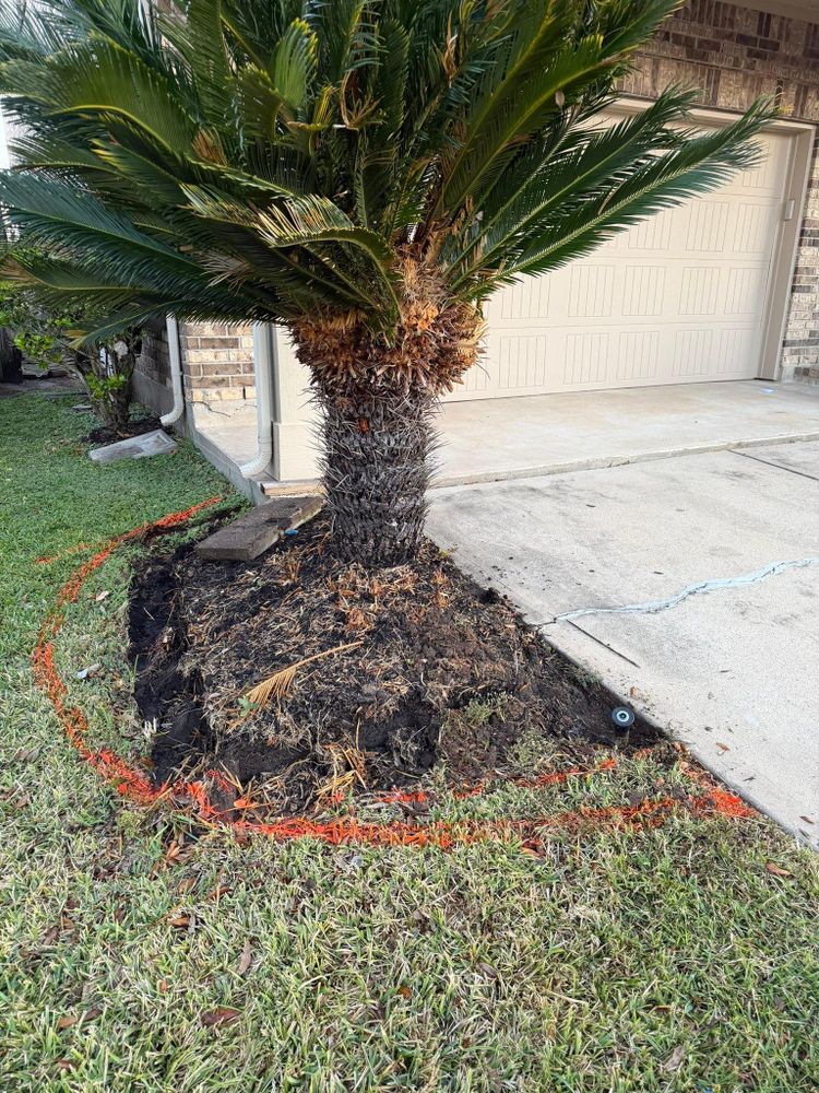 All Photos for Texas Curb N Borders in Houston, TX