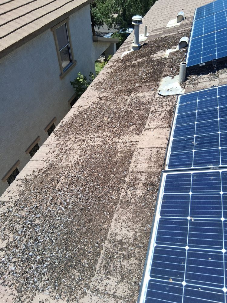 All Photos for Olson & Sons Contracting in Mesa, AZ