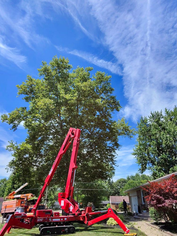 All Photos for F & F Tree Service in Beavercreek, OH
