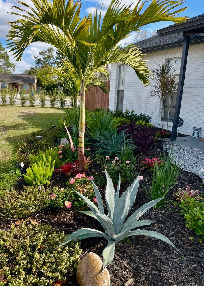 Landscape Design and Installation for Verimay's Garden and Landscaping in Hillsborough County, FL