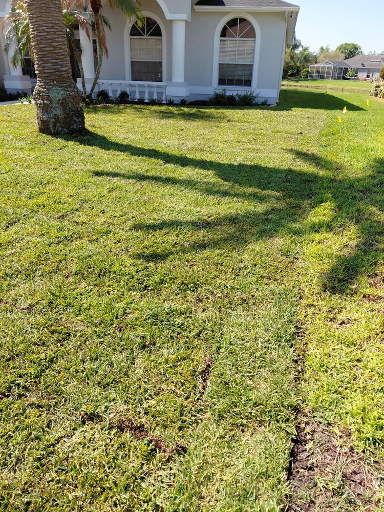 All Photos for Gulf Bay Sod in Clearwater, FL