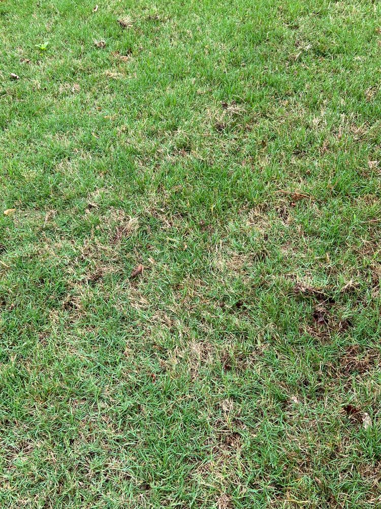Lawncare for Prime Lawn LLC in Conyers, GA