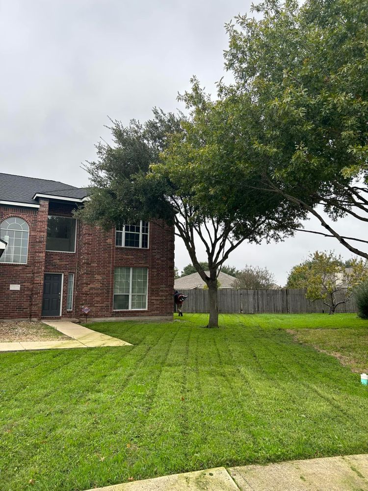 All Photos for Green Turf Landscaping in Kyle, TX