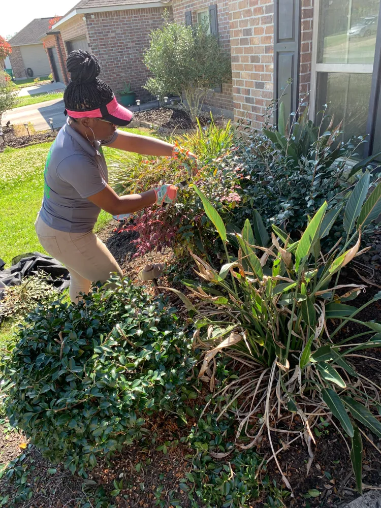 All Photos for Jay C’s Touch Landscaping & Pressure Washing Services LLC in Marrero, LA