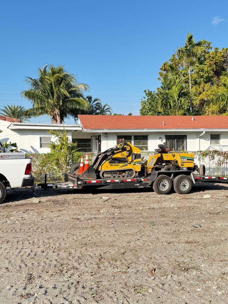 All Photos for Sam's Tree Service in Miami Beach,  FL