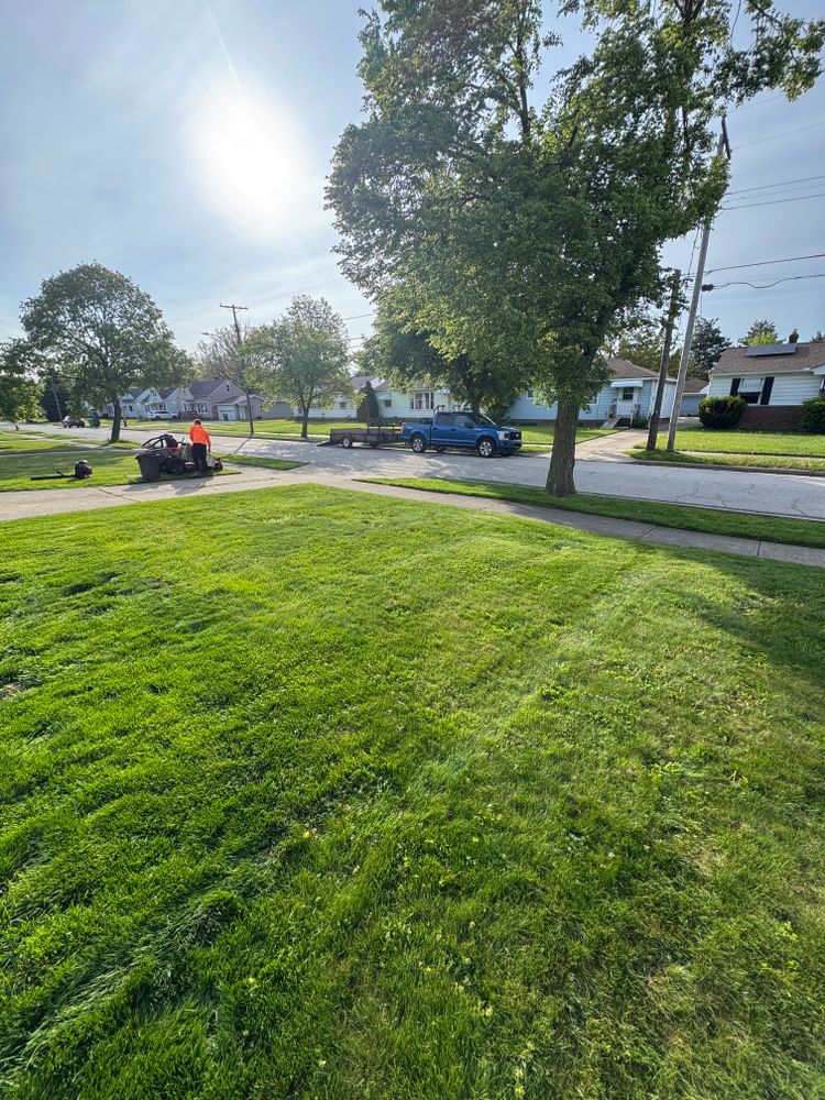 All Photos for Yard Theory in Willowick, OH
