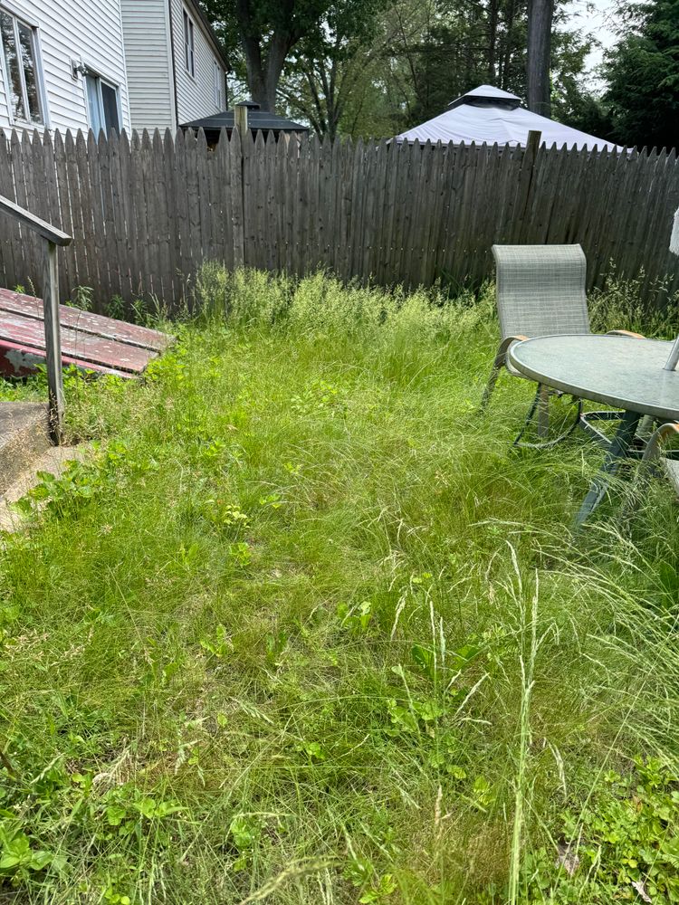 All Photos for Adams Landscaping in Springfield, MA