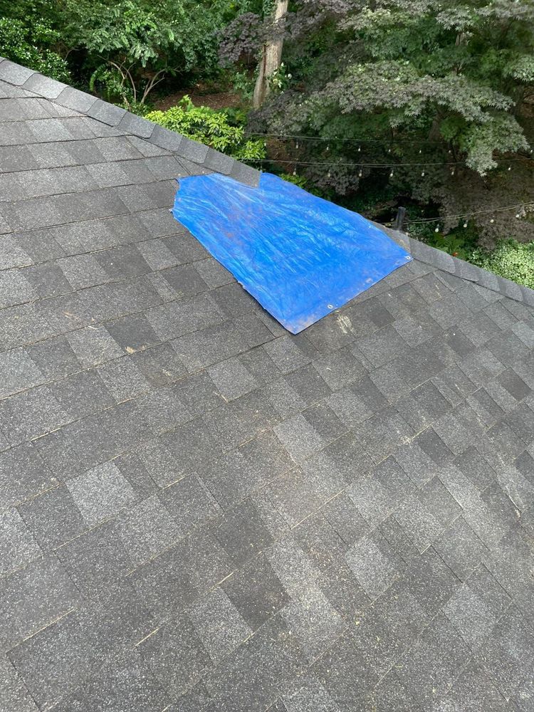 All Photos for Bulldawg Disaster Response in Atlanta, GA