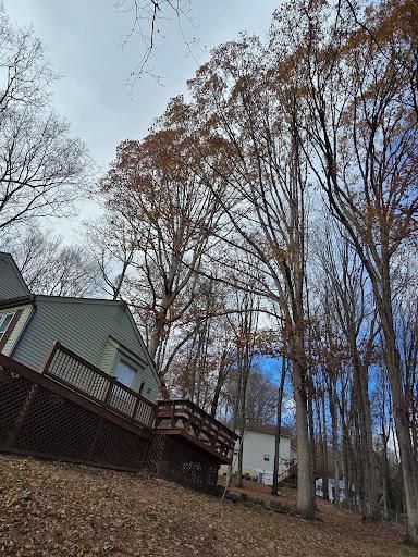 All Photos for M&L Lumber and Excavating in Jonesborough, TN