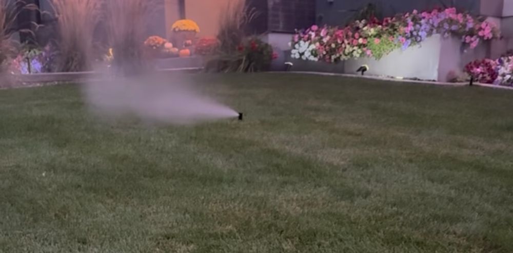 All Photos for Platinum Lawn Service in Santaquin, UT