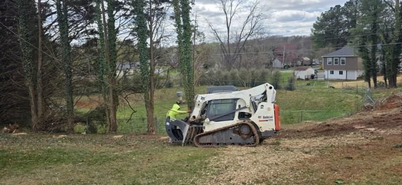All Photos for Hamlett Tree Service LLC in Clover, VA