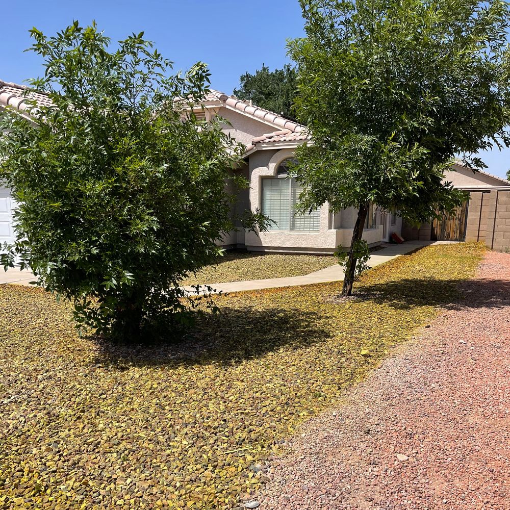 Commercial Lawn Maintenance for American Dream Landscape Company in Surprise, AZ