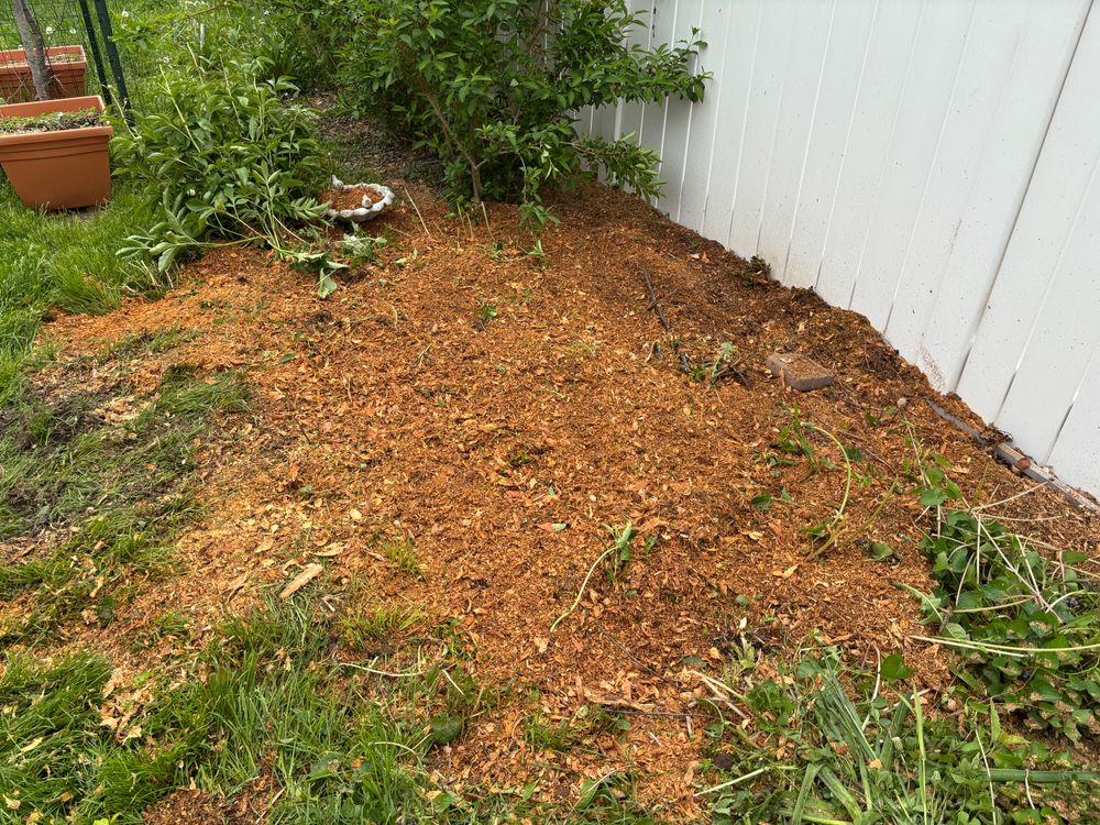 All Photos for Conrad's Stump Removal in Columbus, IN