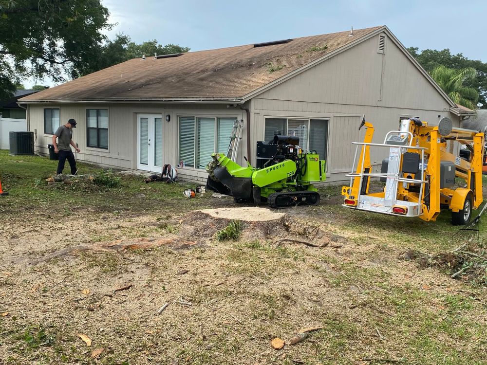 All Photos for Stumps done right LLC in Middleburg, FL