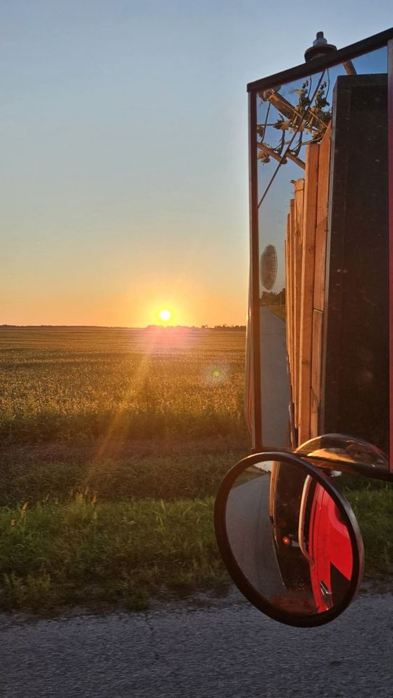 All Photos for Highborn Tree Service in Wheatfield, IN