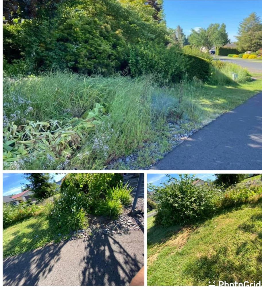 Enhance your property's curb appeal this autumn with our Fall Clean Up service, including leaf removal, debris clearing, and garden bed preparation. Enjoy a pristine landscape ready for the changing seasons. for Orange Landscape in Woodburn, OR