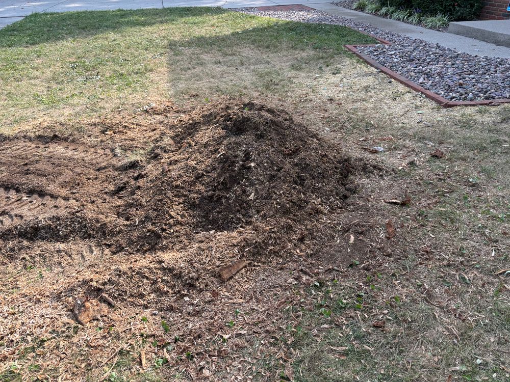 All Photos for Conrad's Stump Removal in Columbus, IN