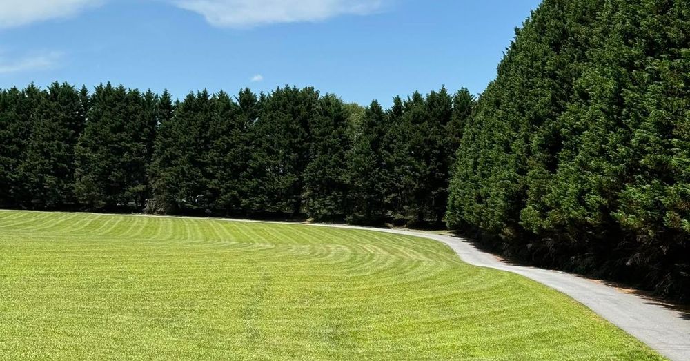 All Photos for Thin Green Line Landscaping & More in Laurens, SC