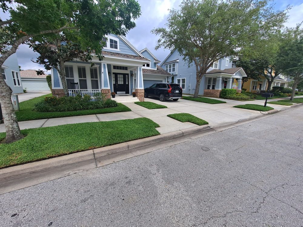 Landscaping for 1 Friendly Lawn Service in Tampa, FL