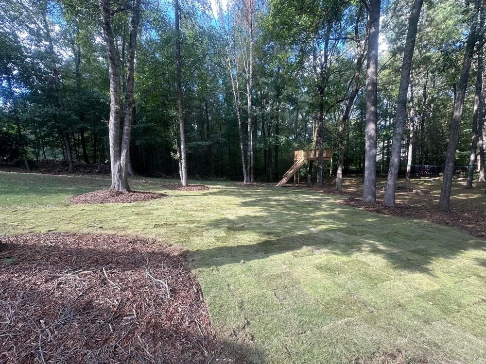 Sod for Dirt Pro Land Solutions in Fayetteville, GA