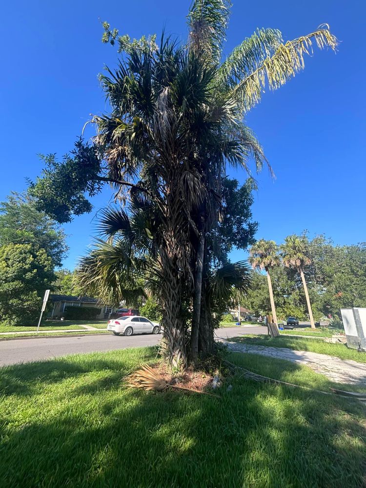 All Photos for McGraw’s Lawn and Tree Service in DeLand, FL