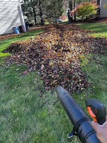 Leaf Removal for 4 Brothers Landscaping LLC in Albany, NY