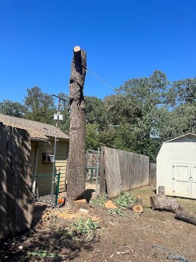 All Photos for Imber’s Tree Service LLC in Arlington, TX