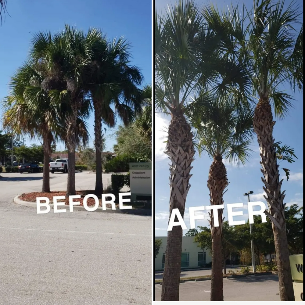 All Photos for Advanced Landscaping Solutions LLC in Fort Myers, FL