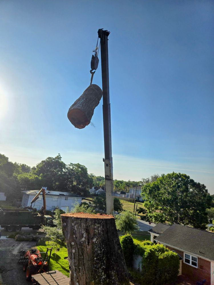 All Photos for Near Me Tree Service, Inc. in DeLand, FL
