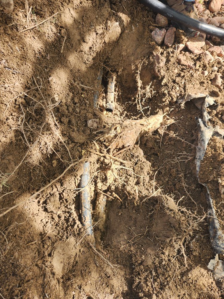 All Photos for CDM Sprinkler in Pueblo County, CO