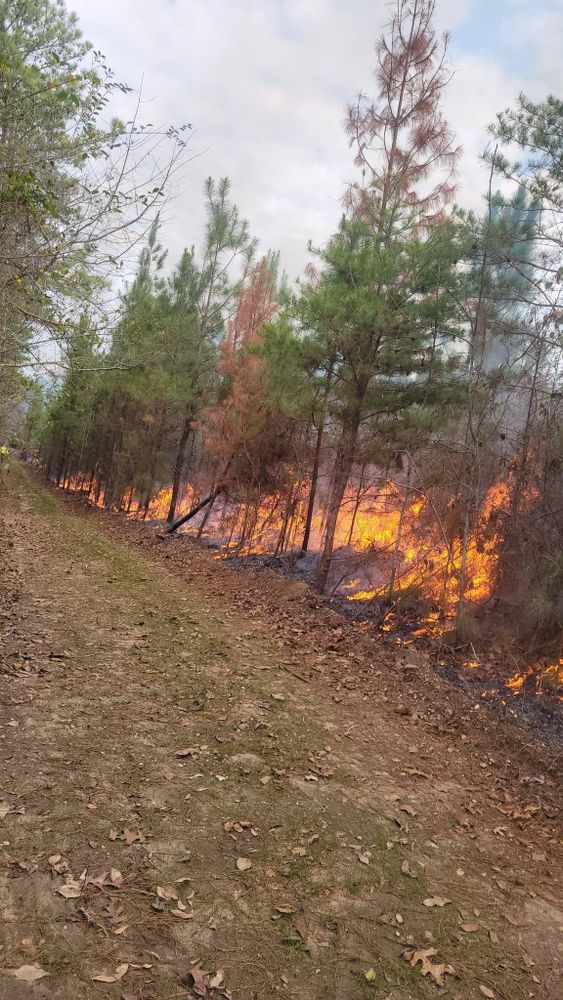 All Photos for Davis Landworx in Clanton,  AL