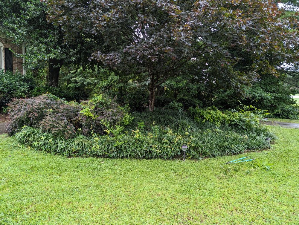 All Photos for Fantastic Lawn Care LLC in Fayetteville, GA