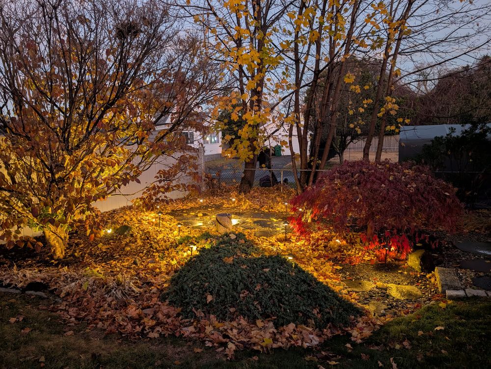 Our Fall Clean Up service prepares your yard for winter by removing leaves, pruning plants, and ensuring your landscape is tidy and healthy. Let us keep your outdoor space beautiful year-round. for Evolution Earthscapes, LLC in Ludlow, MA