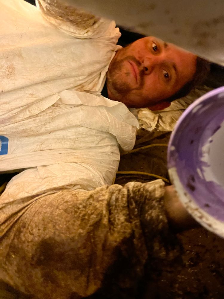 All Photos for Prestige Landscaping & Lawn Services LLC in Anderson, IN