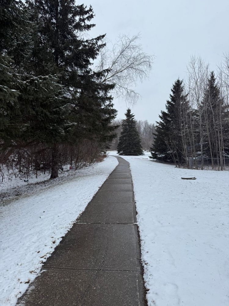 All Photos for Bishop’s Property Maintenance in Franklin, VT