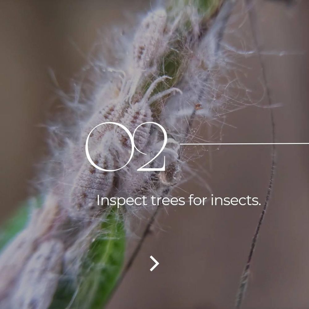 All Photos for Oakwood Tree Removal LLC in Oak Creek,  WI