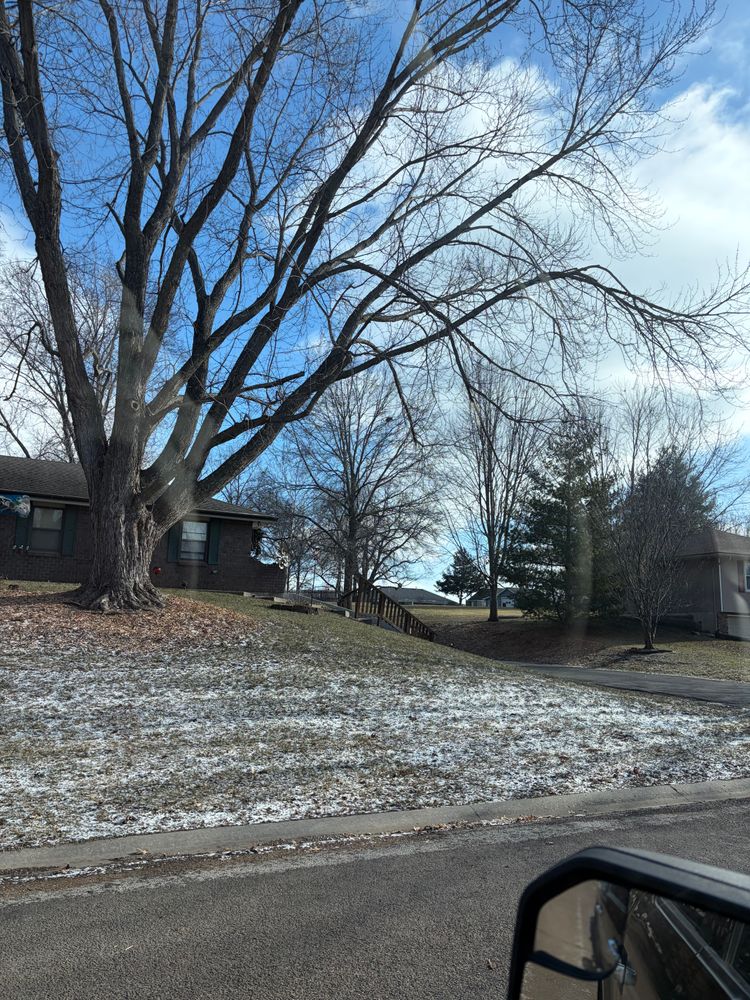 All Photos for Cross Family Tree Service in Kearney, MO