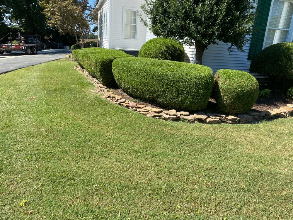 Fall Clean Up for Freedom Works Lawnscaping in Dyer County, Tennessee