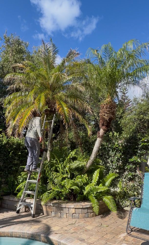 All Photos for Vanic's Landscaping in Port Orange, FL