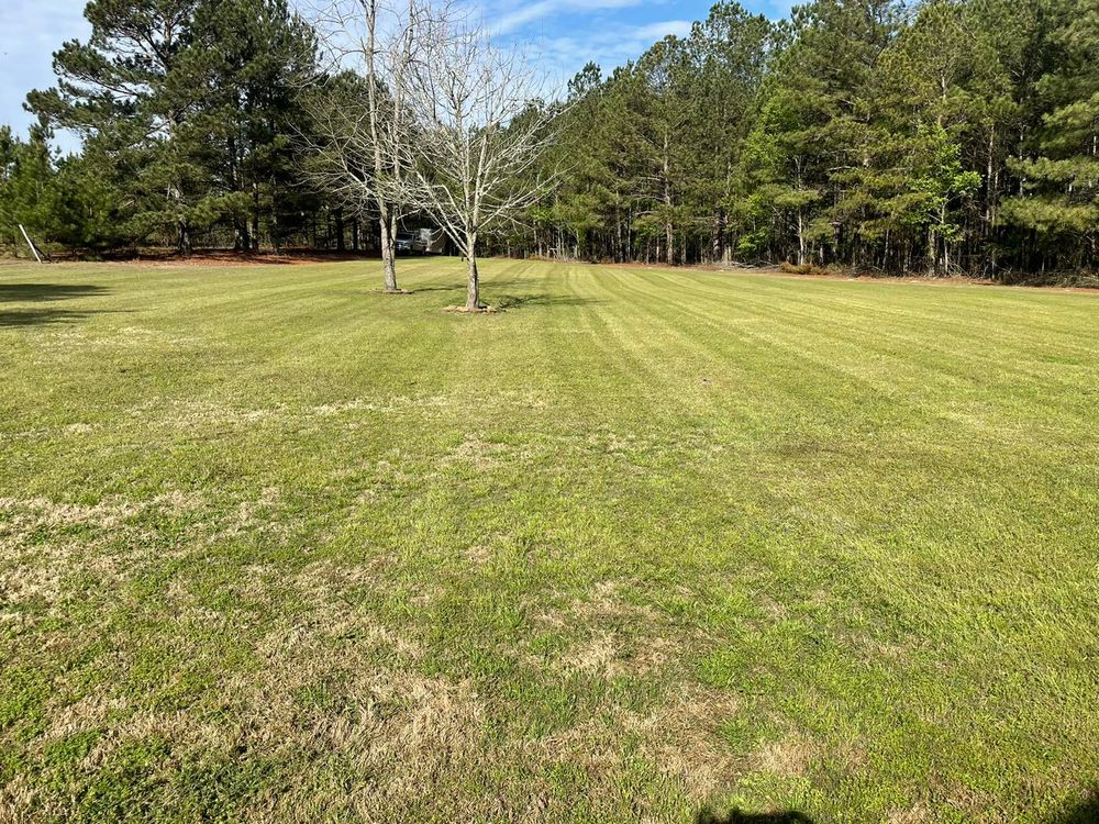 Landscaping for Sparks Landscaping in Augusta, GA